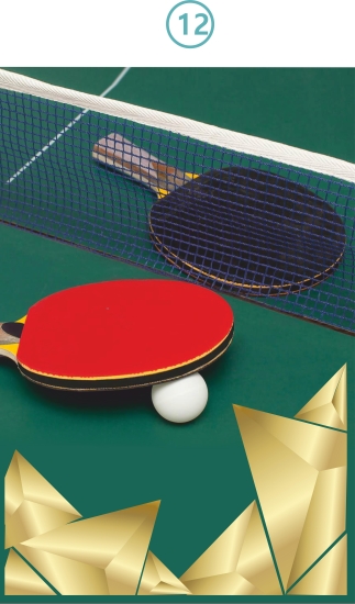 012-TENIS DE MESA