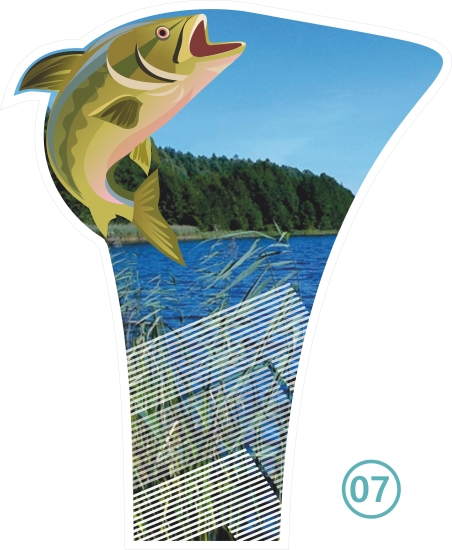 07-PESCA