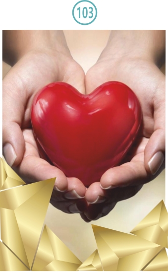 103-AMOR