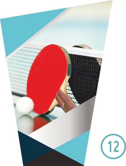 12-TENIS DE MESA