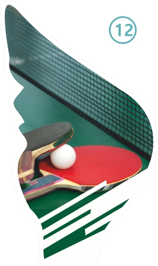 12-TENIS DE MESA