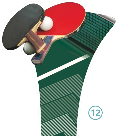 12-TENIS DE MESA
