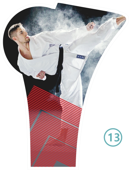 13-KARATE