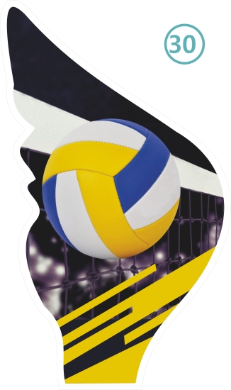 30-VOLEYBOL