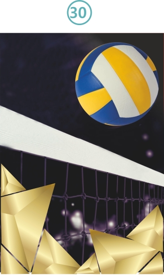30-VOLEYBOL