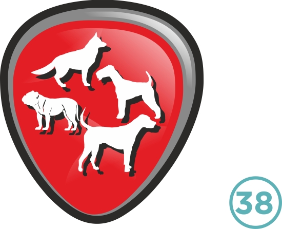 38-PERROS